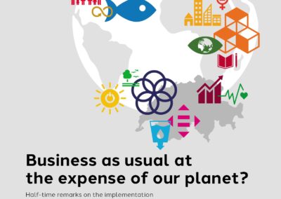 Cover page of the report: Business as usual at the expense of our planet?
