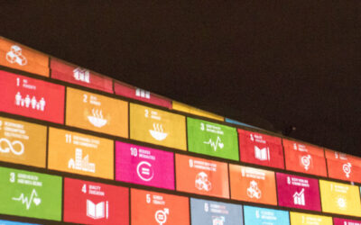 Die Schweiz präsentierte ihren SDG-Umsetzungsbericht vor der UNO