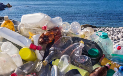 Ein globales Abkommen gegen Plastikverschmutzung – zwischen Ambition und Blockade