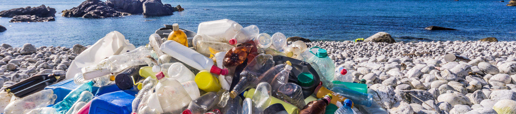 Plastikflaschen auf einem Strand