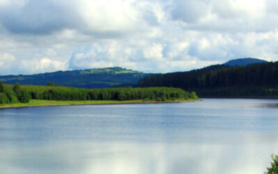 Wünsche für 2026: Gemeinsam weiter daran glauben